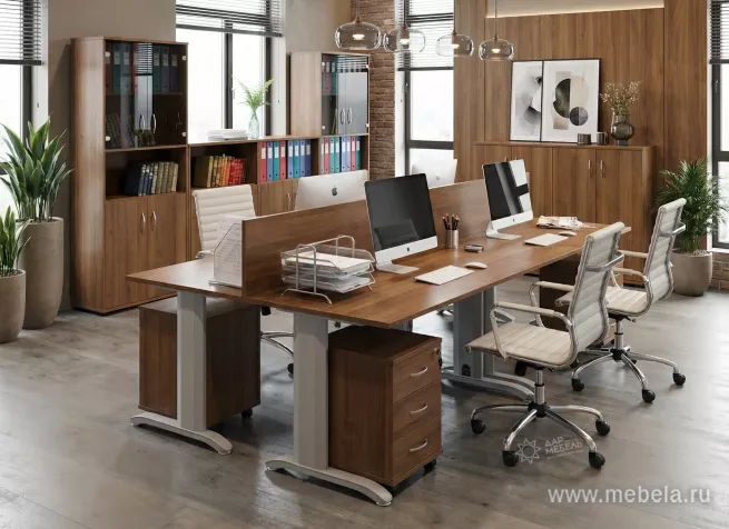 Офисная мебель Рива