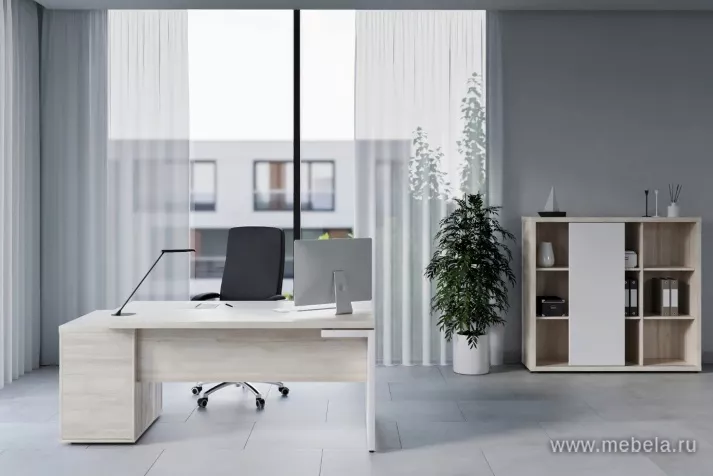 кабинет Зион Шамони