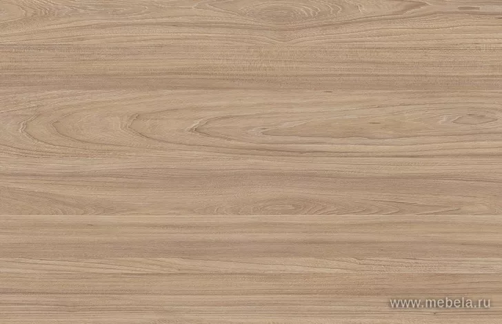 кабинет Асти Вяз