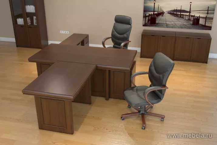 кабинет Принстон