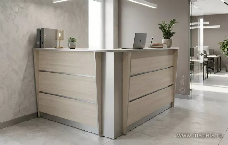 ресепшн Рапид Карелия