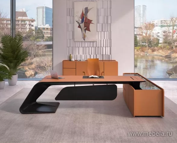 кабинет Бугатти Эко