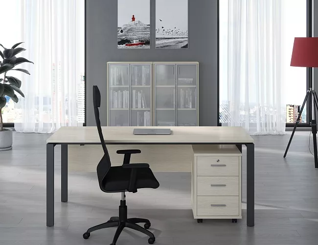 фото кабинет Тренд Металл №3