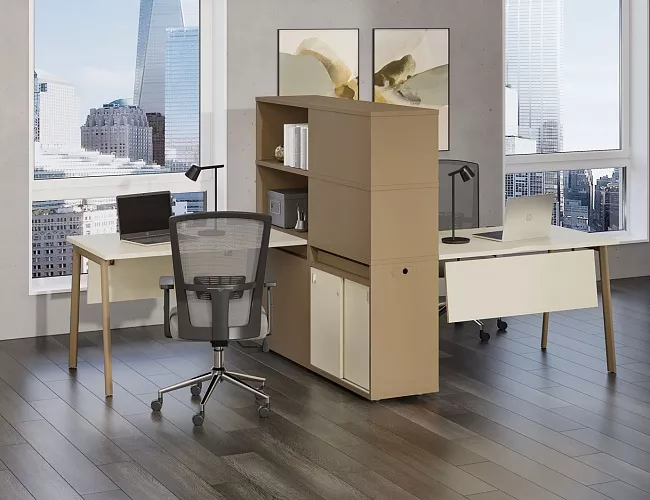 фото мебель Эстетика №4