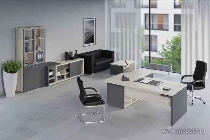 кабинет Зион Шамони