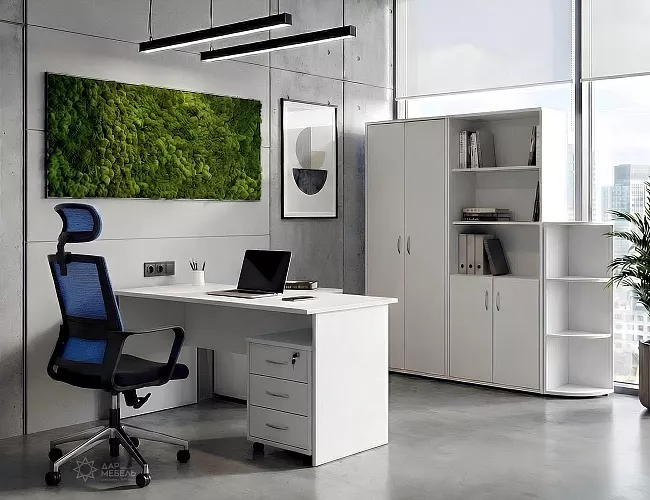 фото мебель Рива Белая