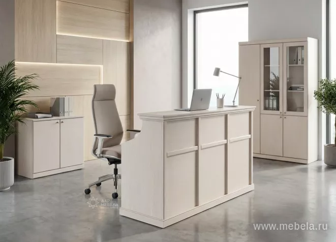 ресепшн Берн