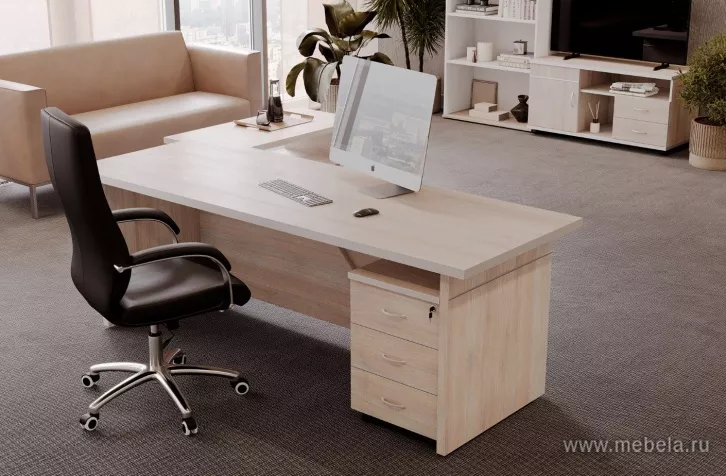 кабинет Зум Дуб