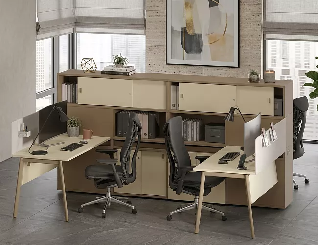 фото мебель Эстетика №2