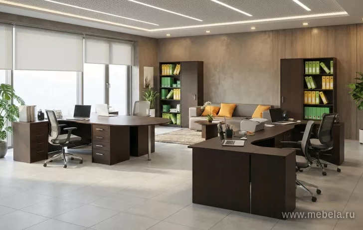 мебель Арго Венге