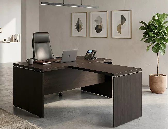 фото кабинет Фермо Венге №4