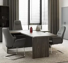 кабинет Бруно Делиос