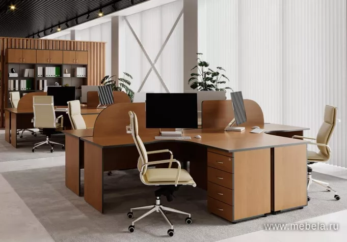 мебель Агат Ольха