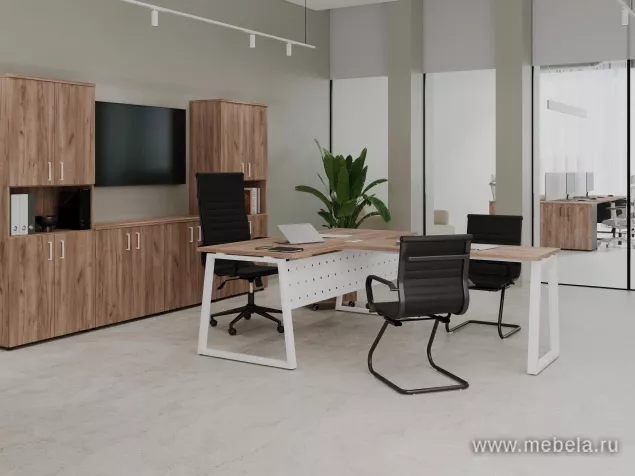 кабинет Проджект Дуб Т