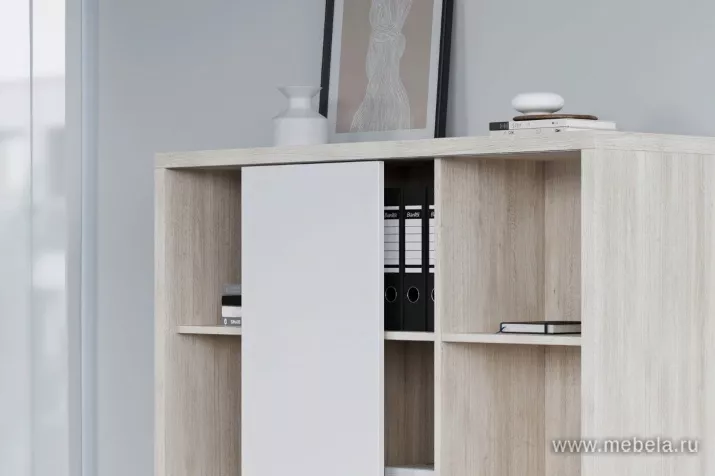 кабинет Зион Шамони