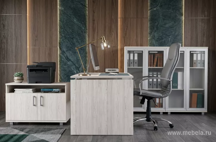 кабинет Аргентум Сосна