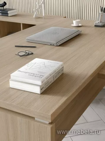 кабинет Патриот +