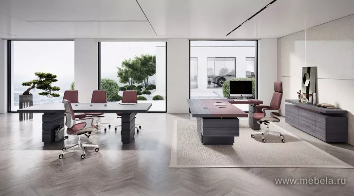 кабинет Антей Бургунди