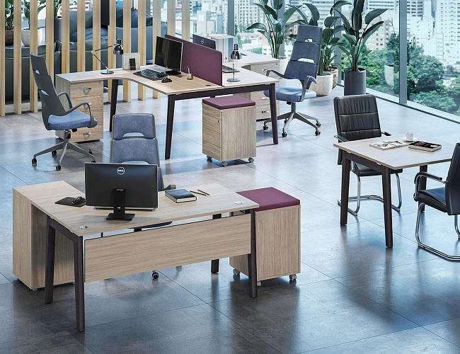 фото мебель Оникс Вуд №2