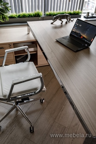 Офисный шкаф низкий (хром)