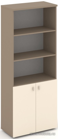 Офисный шкаф высокий широкий (2 низких фасада ЛДСП)
