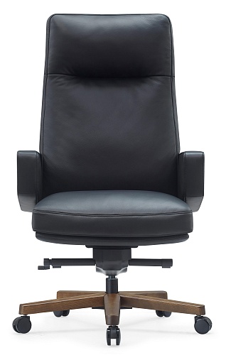 фото кресло RV-Рафаэль №2