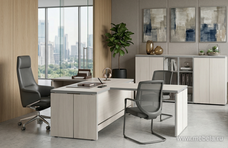 Офисный шкаф низкий широкий