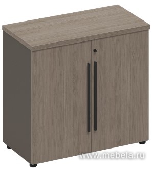 Офисный шкаф для документов низкий закрытый