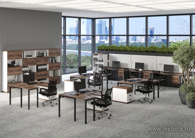 Гардероб узкий (задняя стенка ХДФ)