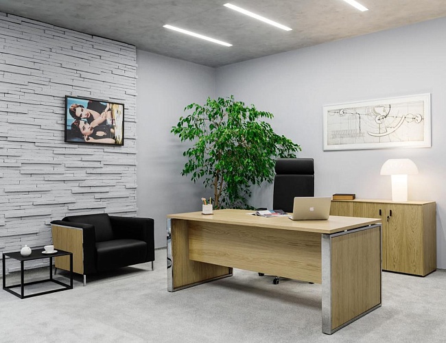 фото кабинет Экзе Дуб №3