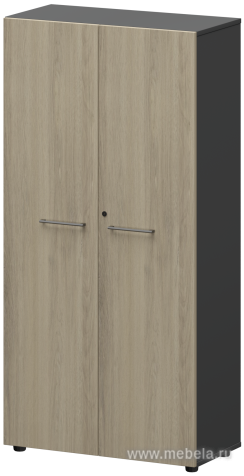 Офисный шкаф высокий закрытый