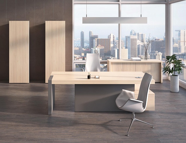 фото кабинет руководителя Эра №4