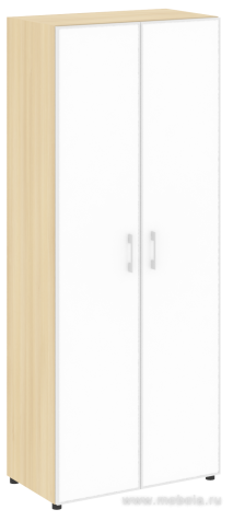 Офисный шкаф высокий закрытый двери стекло в раме белое