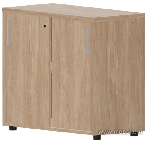 Офисный шкаф-купе