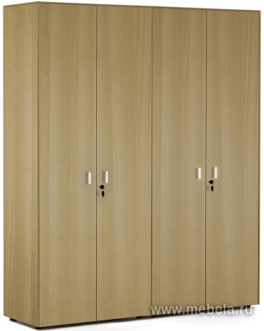 Офисный шкаф для документов + гардероб (хром)