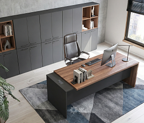 кабинет Кортез