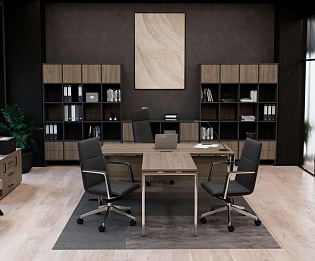 фото кабинет Проджект Люкс Вяз  №2