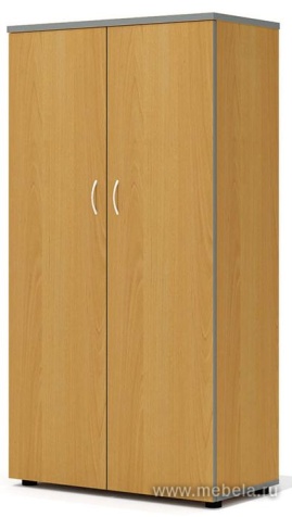 Офисный шкаф закрытый средний