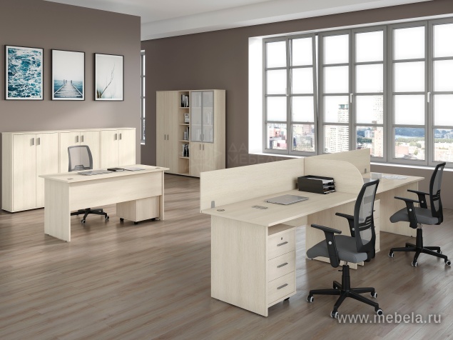 Офисный шкаф низкий закрытый