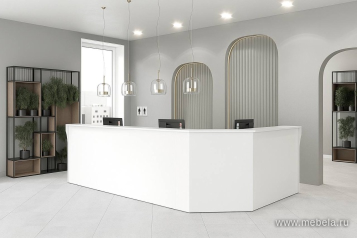 Панель боковая (2 шт.)