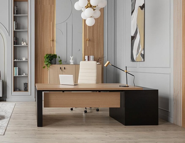 фото кабинет Ренц Лайт №2