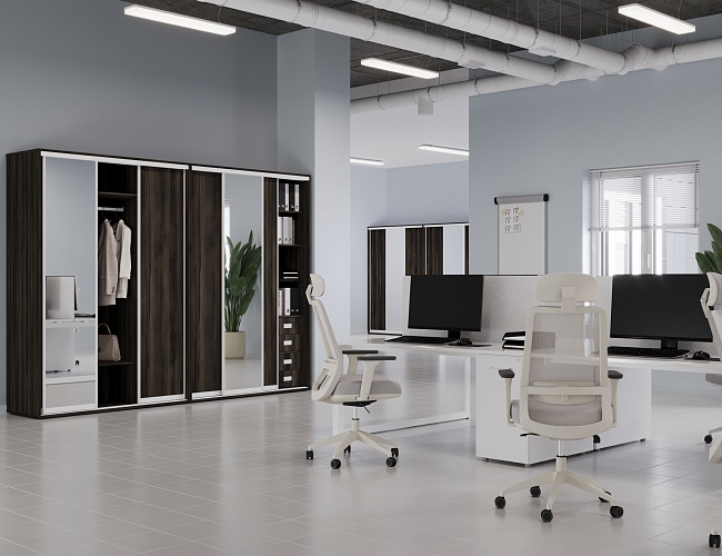 фото Шкафы-Купе Марис Мали №3