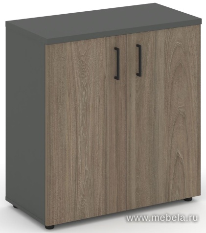 Офисный шкаф низкий широкий (2 низких фасада, задняя стенка ЛДСП)