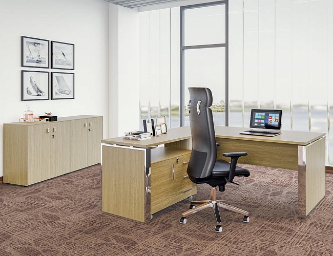 фото кабинет Экзе Дуб №5