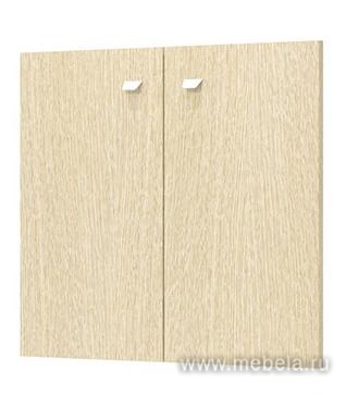 Двери глухие низкие