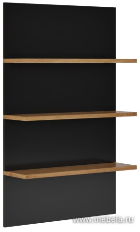 Стеновая панель с полками