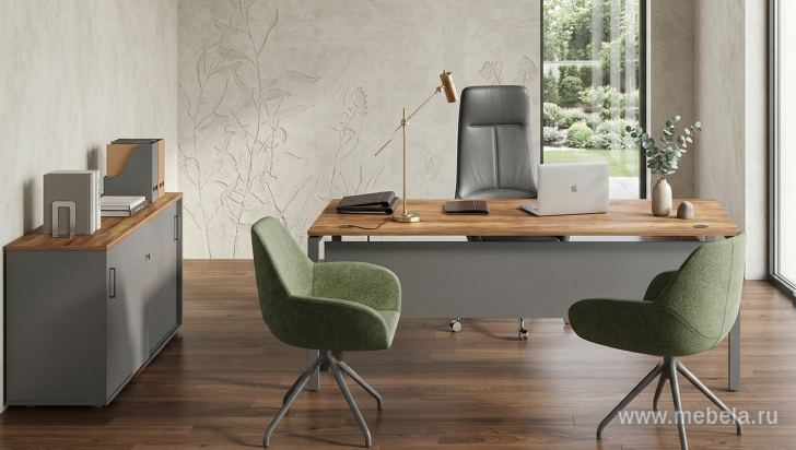 Экраны радиусные 25мм с держателями