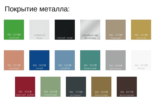 фото секции Форум+ №4