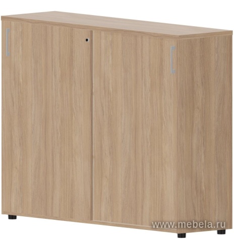 Офисный шкаф-купе