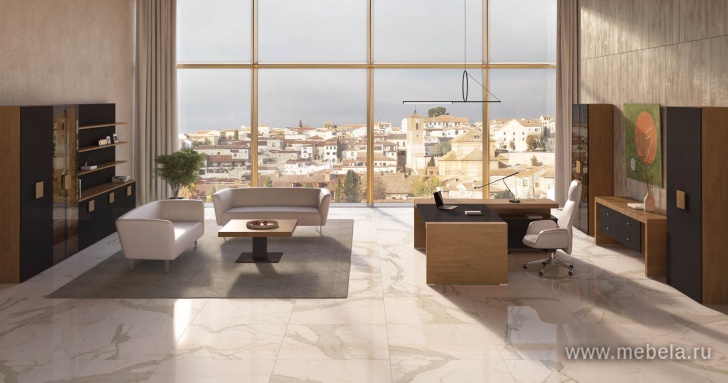 Брифинг приставка